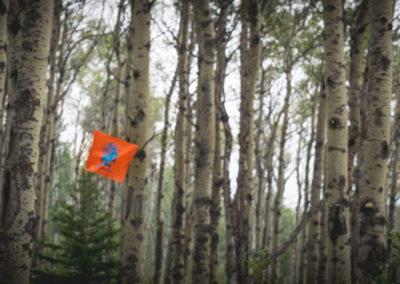 Race flag in Trees
